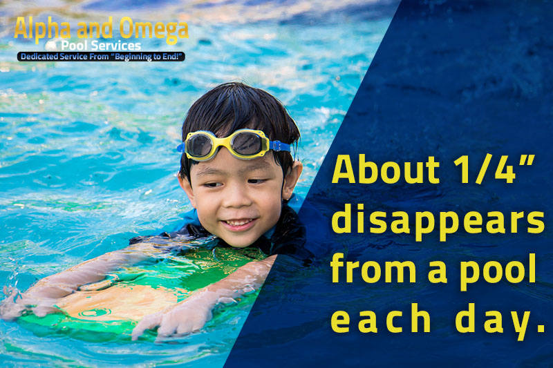 Pool Evaporation Is This Why My Pool Level Is Dropping?